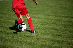 爱游戏体育娱乐-校园足球教练培训体系现状与改革思路，校园足球师资培训