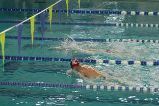 爱游戏下载-张雨霏自由泳接力助队夺冠，张雨霏自由泳接力助队夺冠了吗
